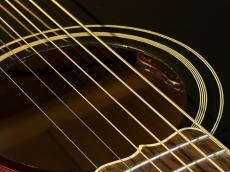 Gibson 【Outlet】Elvis SJ-200_8