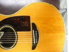 YAMAHA APX-50TS Custom / Single Side Head・TMS-30G Peg・Cutaway・Solid Spruce Top・Indian Rosewood Side and APXC Arched Back・Tortois Color Pick guard・Original PZ-3 Pickup System 【With Original APX Custom Case】 _15