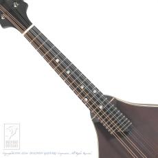 Eastman MD-305_5