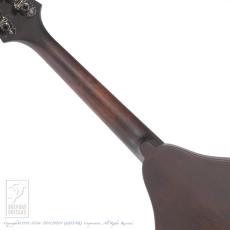 Eastman MD-305_6