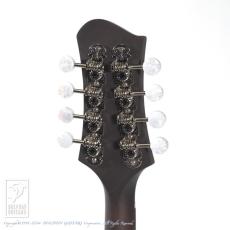 Eastman MD-305_8