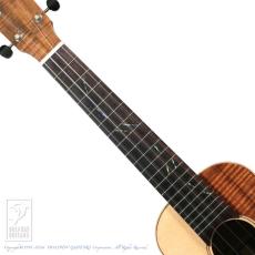 TODA Guitars VC (German Spruce & Jacaranda)_5