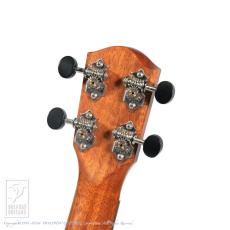 TODA Guitars VC (German Spruce & Jacaranda)_8