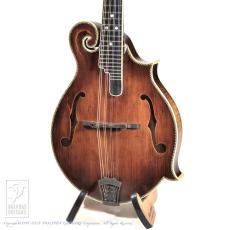 Washburn M118SWK