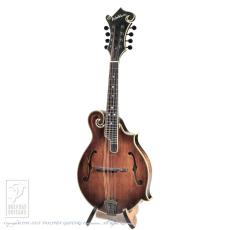 Washburn M118SWK_2