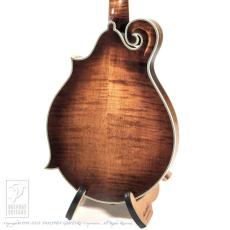 Washburn M118SWK_3