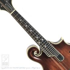Washburn M118SWK_4