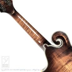 Washburn M118SWK_5