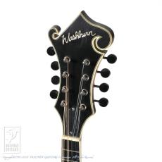 Washburn M118SWK_6