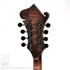Washburn M118SWK_7
