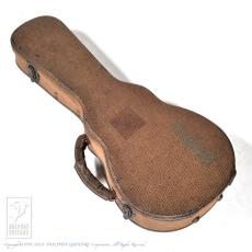 Washburn M118SWK_8