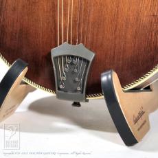 Washburn M118SWK_9
