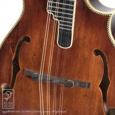 Washburn M118SWK_10