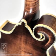 Washburn M118SWK_11