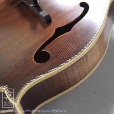 Washburn M118SWK_12
