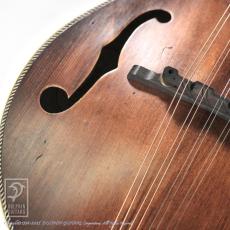 Washburn M118SWK_13