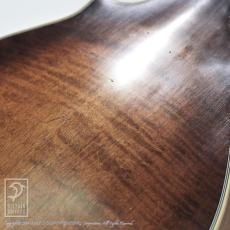 Washburn M118SWK_14