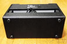 VOX Pathfinder 10 [RL196]【神戸店在庫】_6