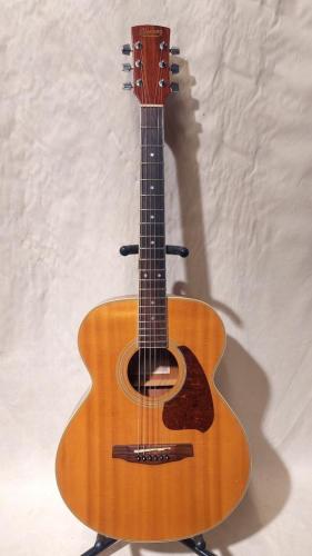 Ibanez PF-200NT