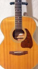 Ibanez PF-200NT_2