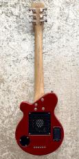 Pignose PGG-200_4