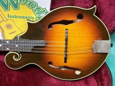 Gibson F-5G_2