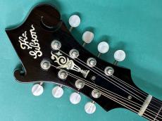 Gibson F-5G_5