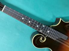 Gibson F-5G_6
