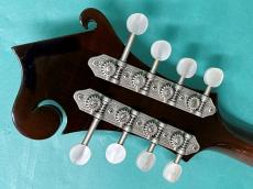 Gibson F-5G_7