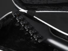 RUF Guitars Doctor Series Vinch 6 Proto ~Open Carbon~_10