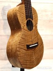 Matsui Ukulele Mango ripe Concert 【松井則和】【コンサート/マンゴー】【24回金利0%対象】【送料込】_3