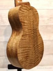 Matsui Ukulele Mango ripe Concert 【松井則和】【コンサート/マンゴー】【24回金利0%対象】【送料込】_4