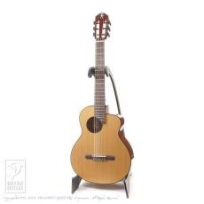 aNueNue aNN-MN14 (Nylon Strings)_2