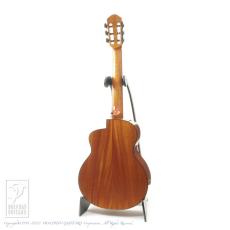 aNueNue aNN-MN14 (Nylon Strings)_4