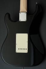 FREEDOM CUSTOM GUITAR RESEARCH Custom Order RS ST SSH Alder -Black-_7