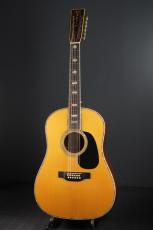 Martin D12-45