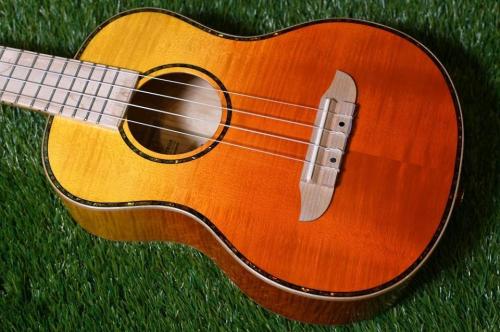 ORTEGA RUPR-TQB Tenor
