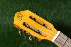 ORTEGA RUPR-TQB Tenor_5
