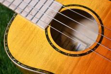 ORTEGA RUPR-TQB Tenor_10