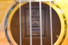ORTEGA RUPR-TQB Tenor_15
