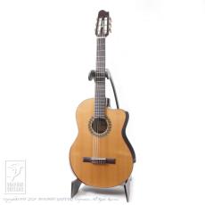 Teddy's Guitar Teddy's II (Nylon Strings)_2