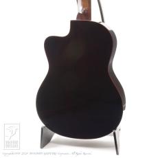 Teddy's Guitar Teddy's II (Nylon Strings)_3