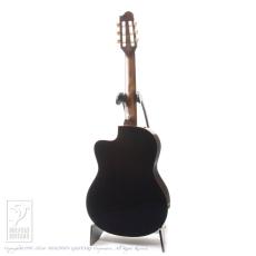 Teddy's Guitar Teddy's II (Nylon Strings)_4