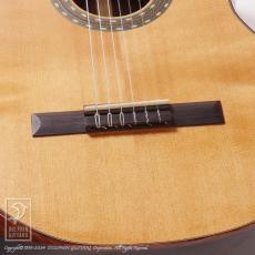 Teddy's Guitar Teddy's II (Nylon Strings)_8