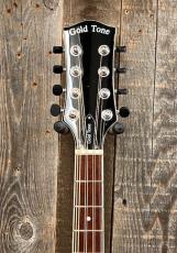 GOLD TONE Mandocello with Pickup【USED】_5