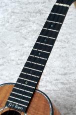 Kamaka HF-2D2 #260167【110 Years】【Curly Hawaiian Koa】【Concert】_4