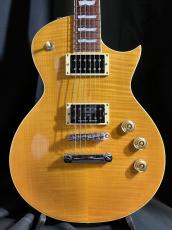 LTD EC-256