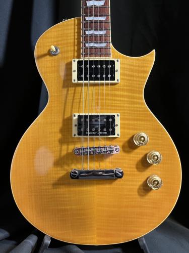 LTD EC-256