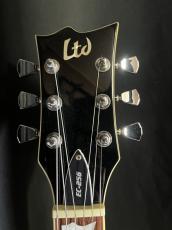LTD EC-256_3