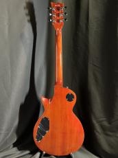 LTD EC-256_5